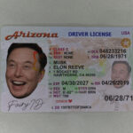 Arizona fake ID