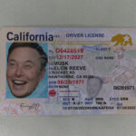 California Fake ID