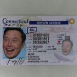 Connecticut Fake ID