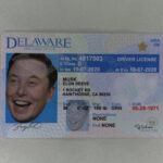 Delaware ID Fake