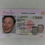 Georgia Fake ID