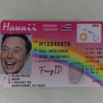 Hawaii Fake ID