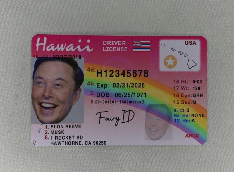 Hawaii Fake ID