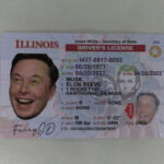 Fake Illinois ID