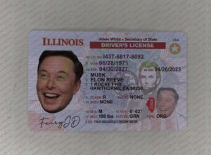 Fake Illinois ID