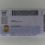 Fake ID Indiana