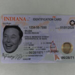 Indiana Fake ID