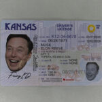 Fake Kansas ID