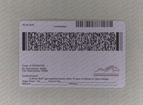 Fake Kentucky ID
