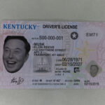 Kentucky Fake ID