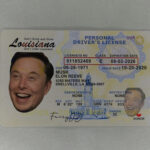 Louisiana Fake ID