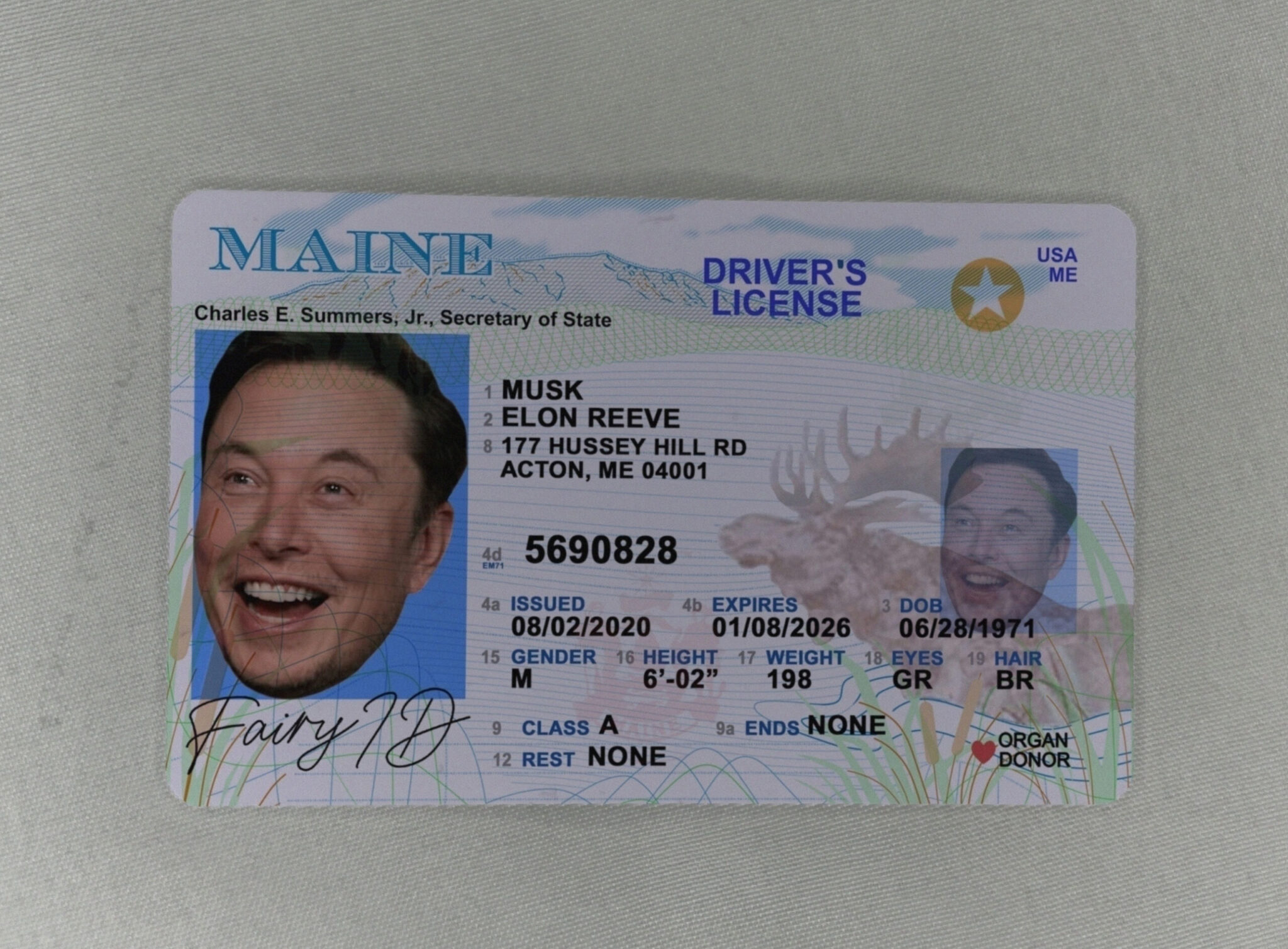 Hurry up and buy Maine ID 2022 Maine ID Discover a New World of