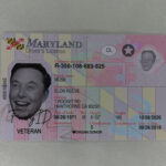 Maryland Fake ID