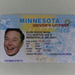 Minnesota Fake ID