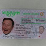 Mississippi Fake ID