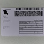 Missouri Fake ID