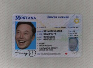 Montana ID To Fly