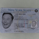 new New York fake ID