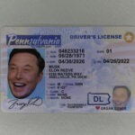 Pennsylvania Fake ID