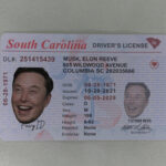 South Carolina Fake ID