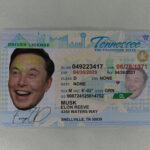 Fake Tennessee ID