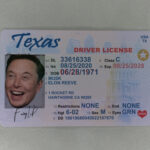 Texas Fake ID