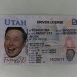 Utah Fake ID