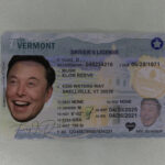 Burlington VT Fake ID