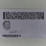 Virginia Fake ID