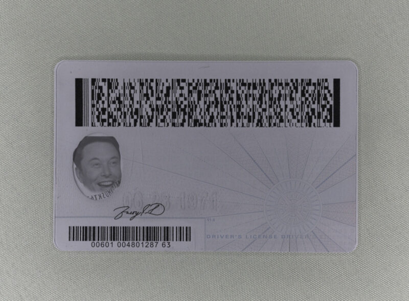 Virginia Fake ID