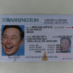 Washington Fake ID