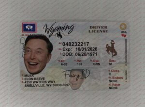 Wyoming IDs