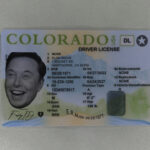 Colorado Fake ID