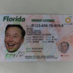 Fake ID Florida